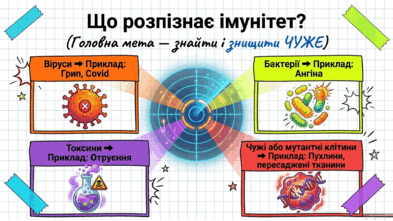 0902365o-0e7b-393x221.png