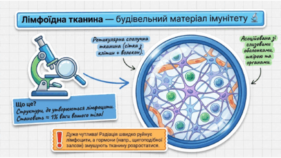 090236an-3800-409x230.png