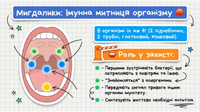 090236cl-b997-404x227.png