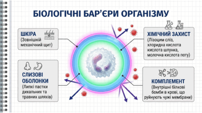 0902393b-c909-398x224.png