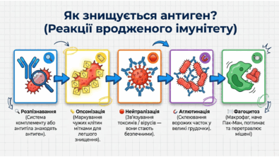 090239h9-6c5b-395x222.png