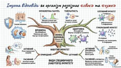 090239ia-feec-410x231.png