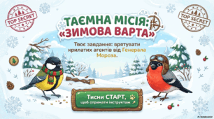 Презентація "Таємна місія. Зимова варта"