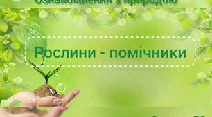 Ознайомлення з природним довкіллям.Рослини-помічники.