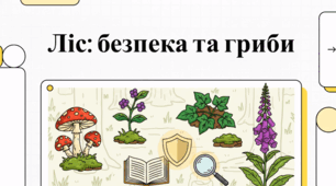 Безпека при зборі грибів та рослин: правила та застереження