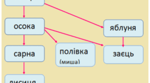 Діагностувальна робота, ЯДС, "Все пов'язане з усім"