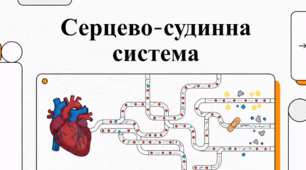 Анатомія та фізіологія крові і серця людини