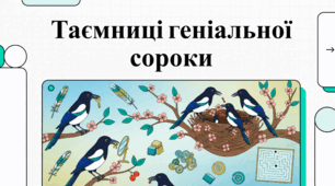 Сорока: міф, наука та виживання в містах
