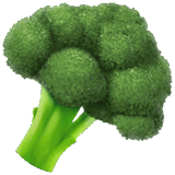 09023oyk-1688-160x160.png