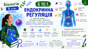 Ендокринна регуляція. Презентація, інфографіка, робочий аркуш