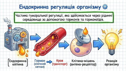 09023pcb-3a97-411x231.png