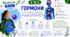 Гормони. Презентація, інфографіка, робочий аркуш