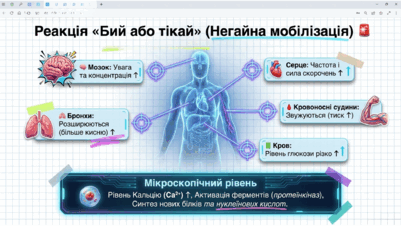 09023phf-2468-401x226.png