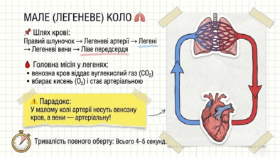 09023qd2-13b7-394x222.png