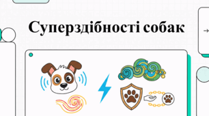 Собачий зв’язок: інтелект, здоров’я та еволюція