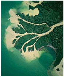 09023tdp-ce19-218x261.png