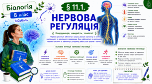 Нервова регуляція. Презентація, інфографіка, робочий аркуш