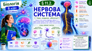 Нервова система. Презентація, інфографіка, робочий аркуш