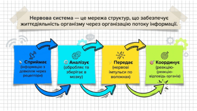 09023u4j-b896-391x220.png