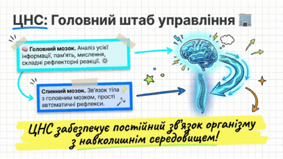09023u4o-dc98-407x229.png