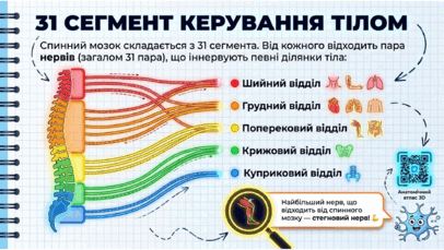 09023u5n-3b3f-406x229.png