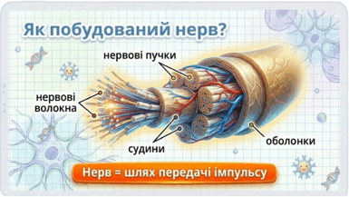 09023u7t-3292-385x217.png