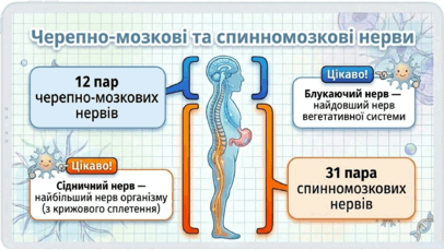 09023u80-23f2-406x229.png