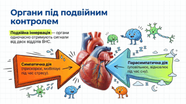 09023u8c-1c50-381x214.png