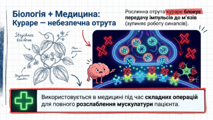 09023u8d-8d37-426x240.png