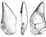 09023w0d-c292-185x148.png