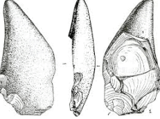 09023wu7-17e0-231x172.png