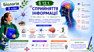 Сприйняття інформації. Презентація, інфографіка, робочий аркуш