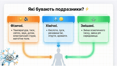 09023xbd-b658-393x221.png