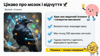 09023xbk-812e-416x234.png
