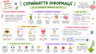 09023xbu-5466-398x224.png