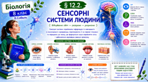 Сенсорні системи людини. Презентація, інфографіка, робочий аркуш