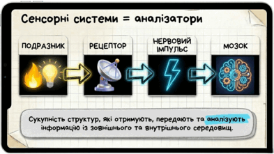 09023xcy-5b60-393x221.png
