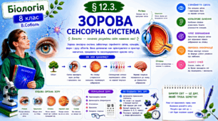Зорова сенсорна система. Презентація, інфографіка, робочий аркуш