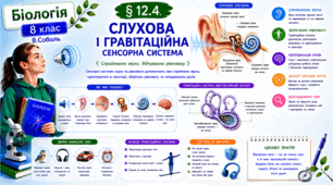 Слухова і гравітаційна сенсорна система. Презентація, інфографіка, робочий аркуш