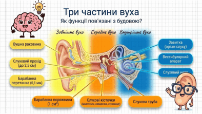 09023xft-3467-394x222.png