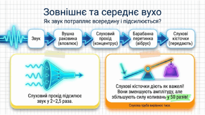 09023xfw-627a-409x230.png