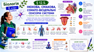 Нюхова, смакова, сомато-вісцеральні сенсорні системи. Презентація, інфографіка, робочий аркуш