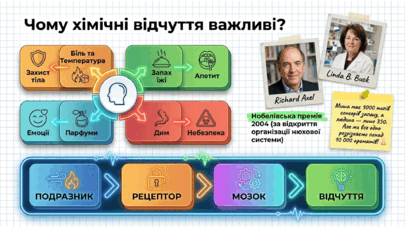 09023xhk-0c8d-405x228.png