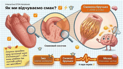 09023xi0-cff1-408x230.png