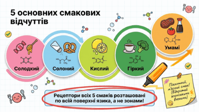 09023xi3-9172-404x227.png