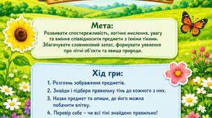 Дидактична гра «Літні тіні»