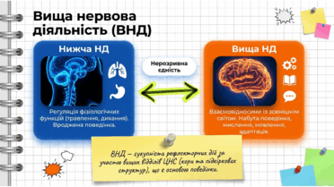 09023zw9-b646-372x209.png