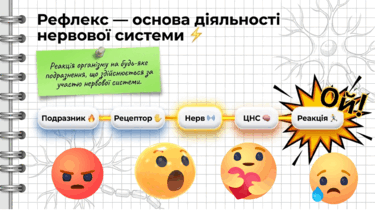 09023zwo-b295-375x211.png