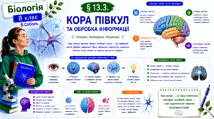 Кора півкуль та обробка інформації. Презентація, інфографіка, робочий аркуш