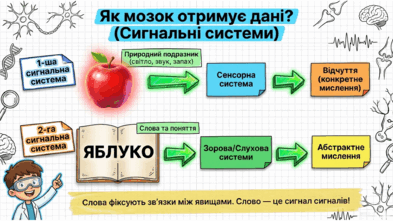 0902400m-024c-393x221.png